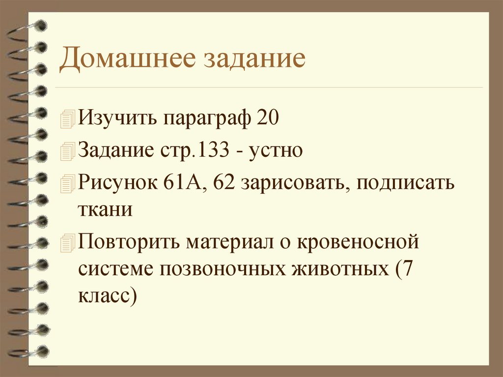 Домашнее задание