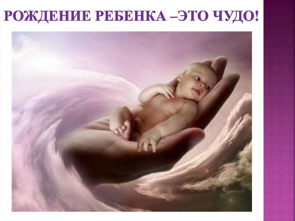 Видео рождение жизни. Чудо в природе рождение ребенка и ТД. Ангелочек мальчик картинки.