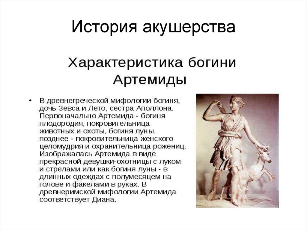 История акушерства презентация