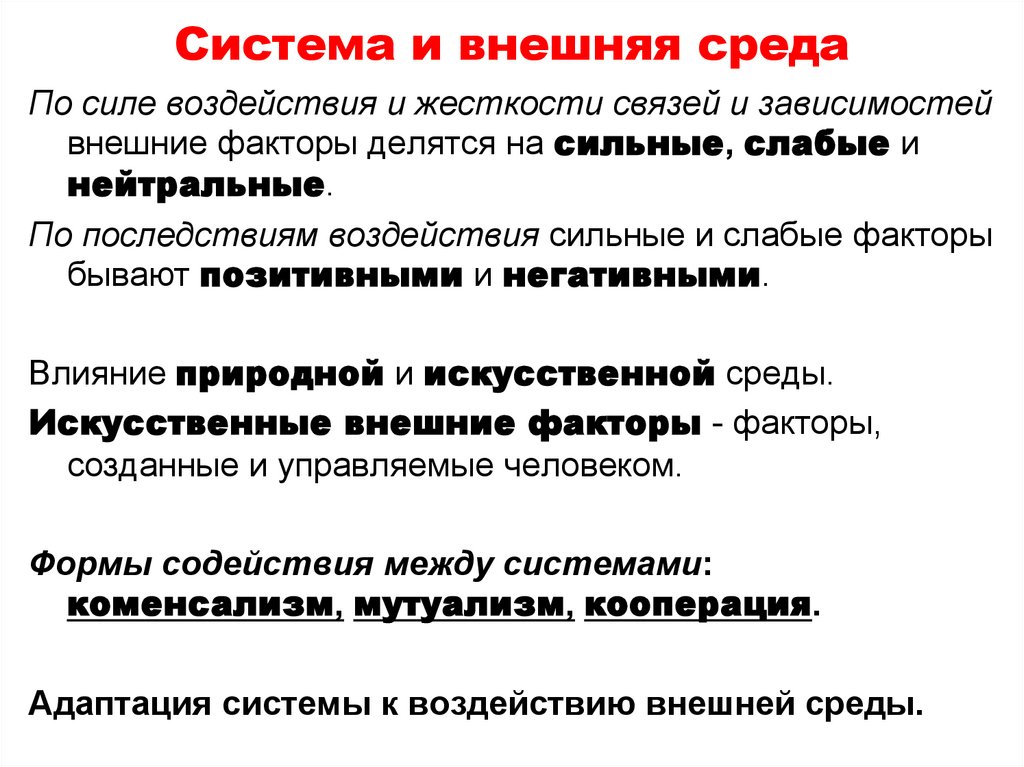 Система и внешняя среда