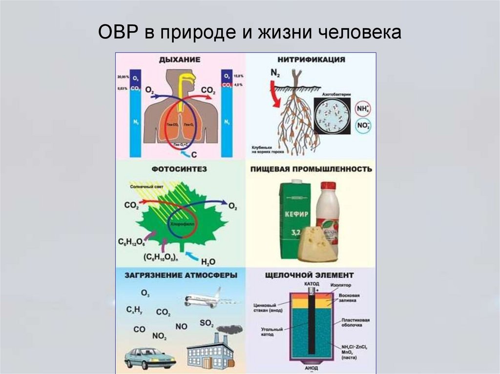 ОВР в природе и жизни человека