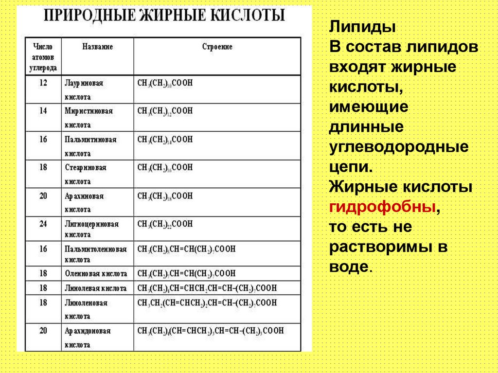 липиды входят в состав лизосом и ферментов