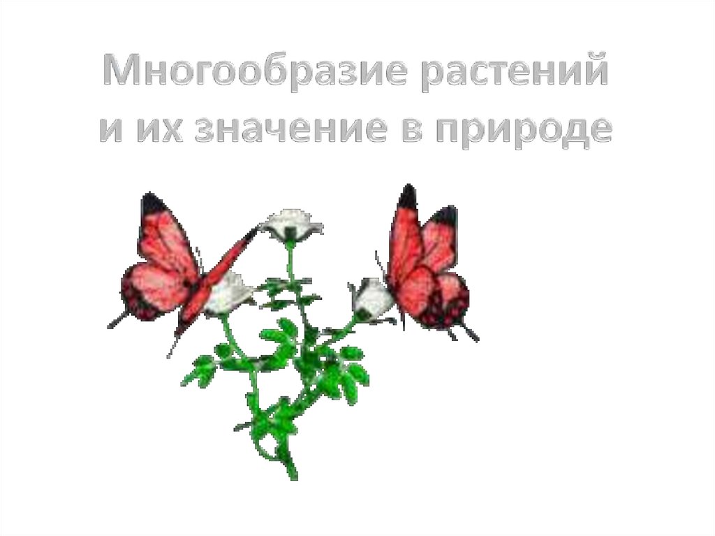 Тест многообразие растений