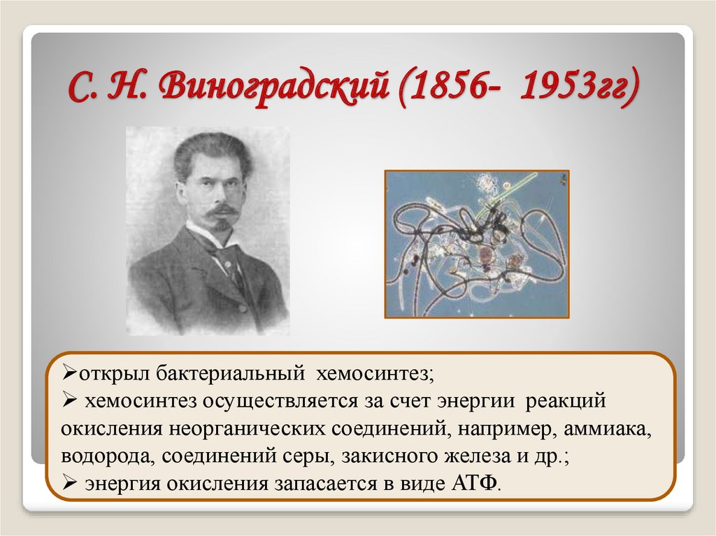 Хемосинтез презентация 10 класс профильный уровень