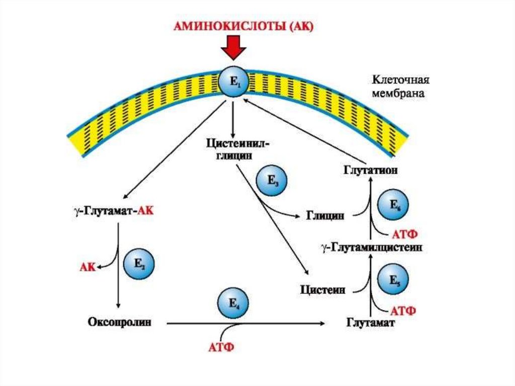 Простой обмен