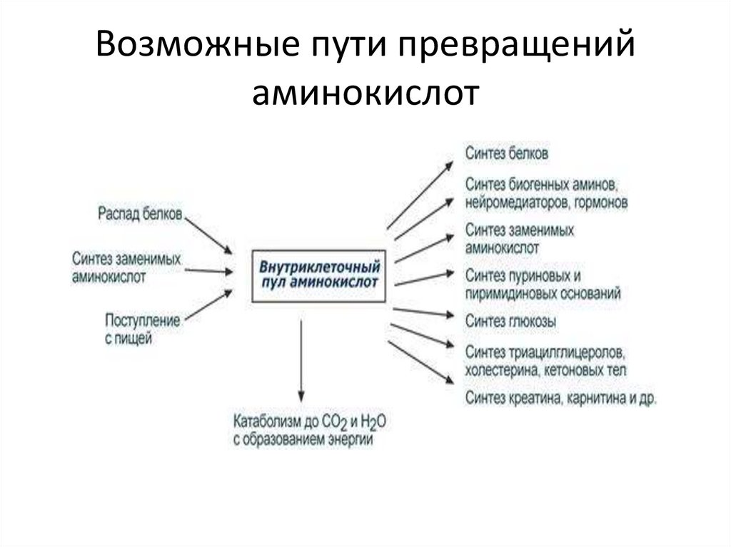 Ошибки путей преобразования