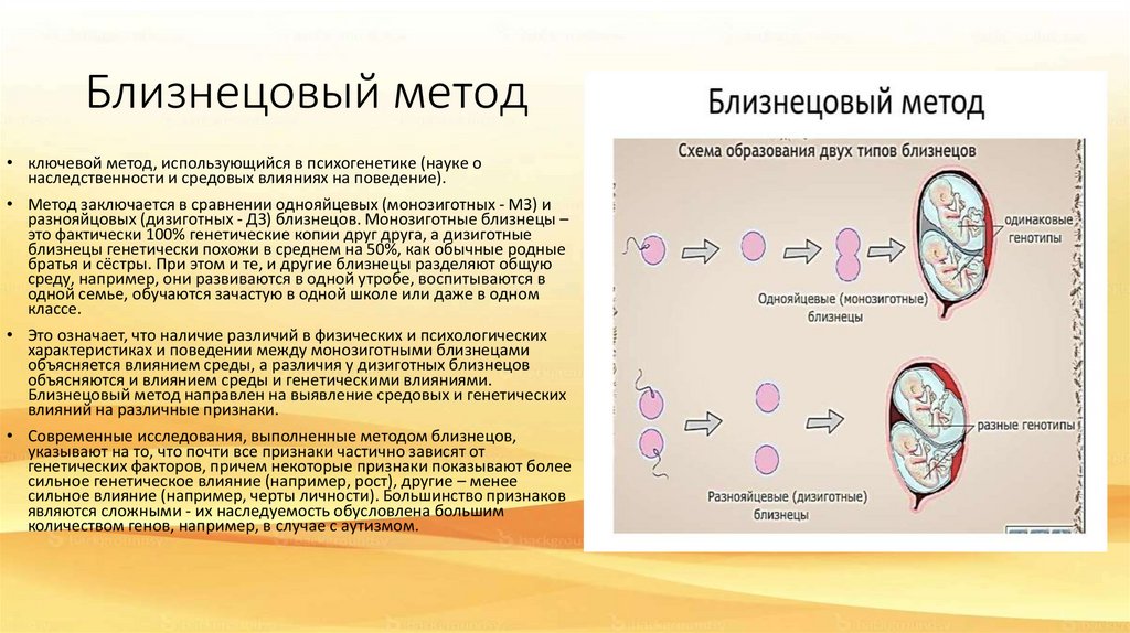 Метод близнецов в психогенетике. Схема Близнецового метода. Близнецовый метод изучения генетики человека. Близнецовый метод схема. Ограничения Близнецового метода.