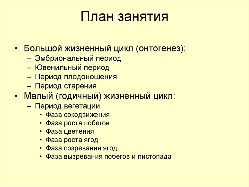 План занятия