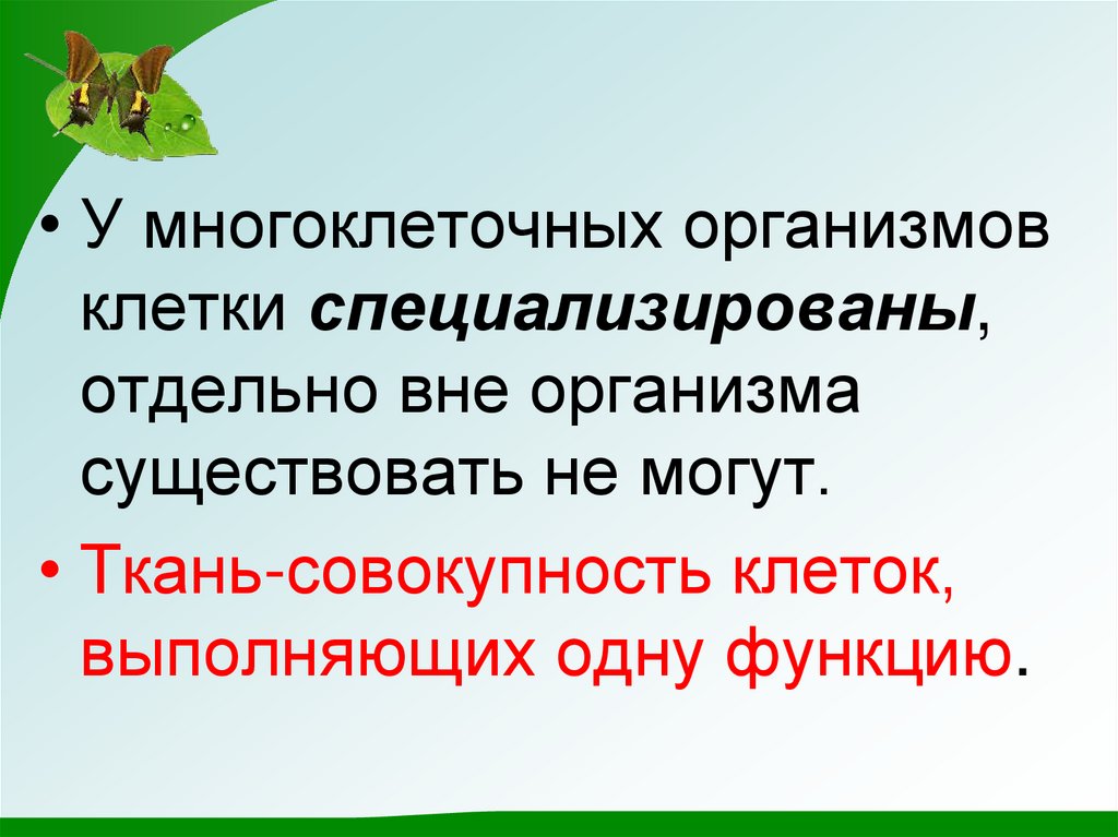 Клетки специализированы