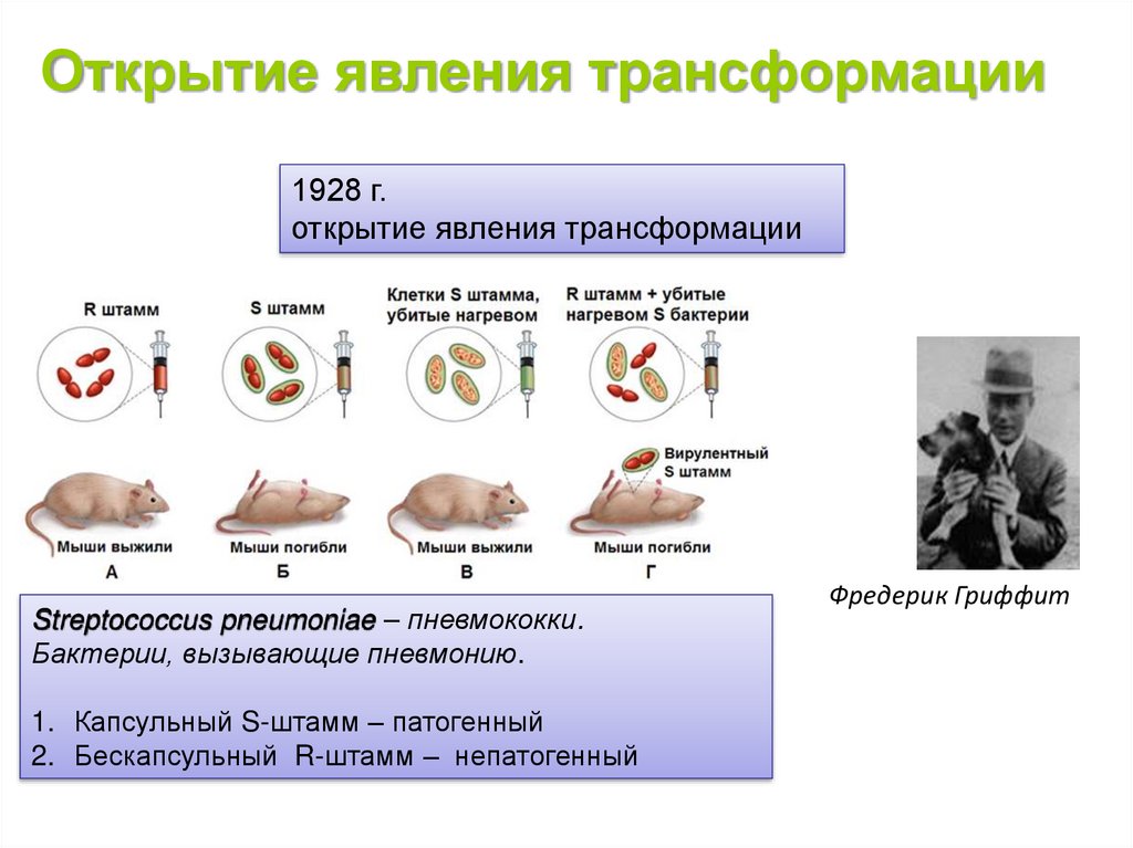 Переход в презентации трансформация