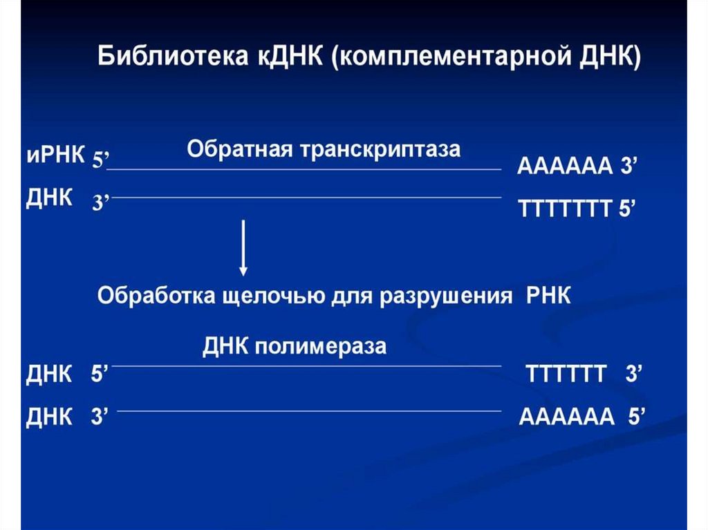 Открытие явления