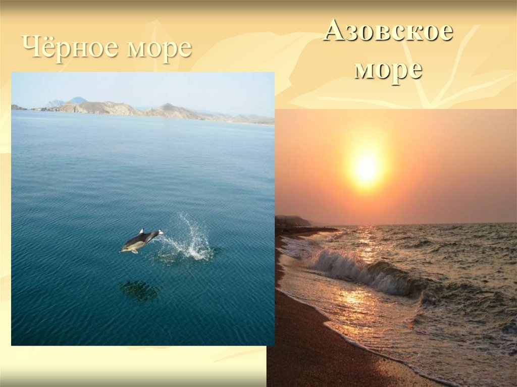 Азовское море