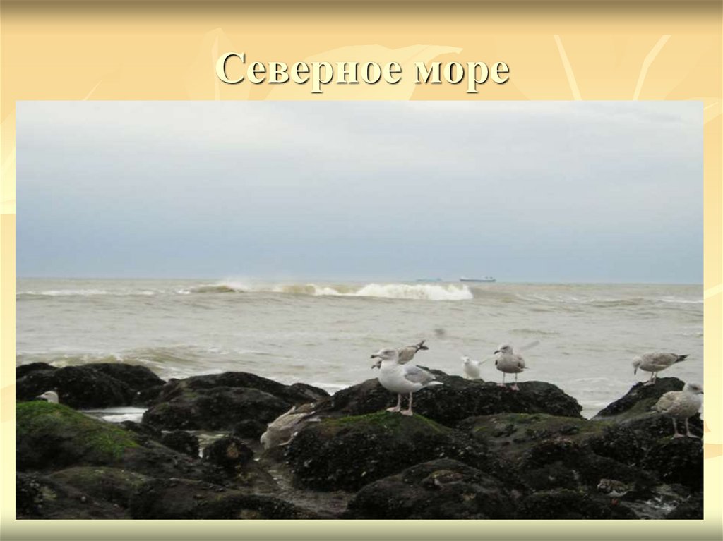 Северное море