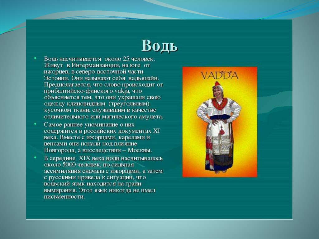 Водь. Народ водь презентация. Традиции народа водь. Народность водь.