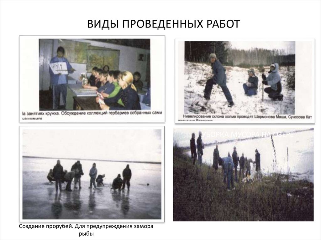 ВИДЫ ПРОВЕДЕННЫХ РАБОТ