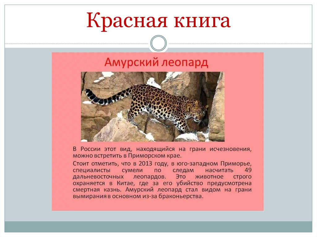 Красная книга