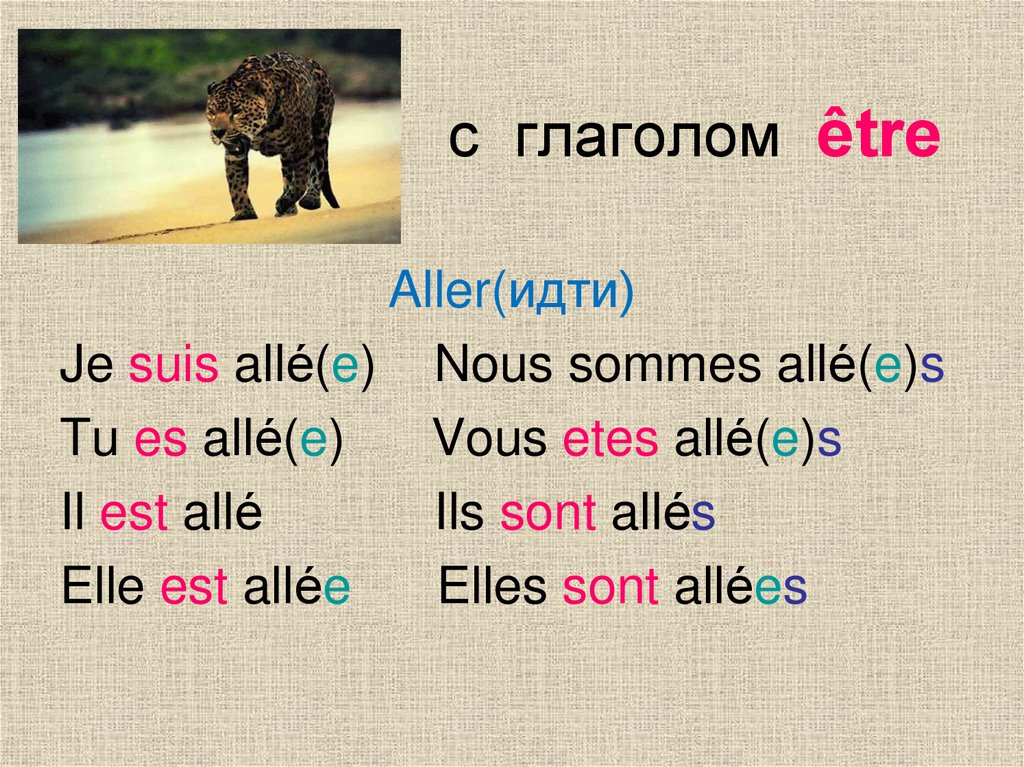 Спряжение глагола aller во французском. Спряжение глагола etre во французском. Глагол etre во французском. Глагол aller во французском языке.