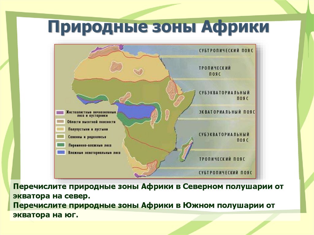 Назовите особенности африки. Природные пояса Африки таблица. Природная зона тропического пояса Африки. Карта природных зон Африки. Географическое положение природных зон Африки.