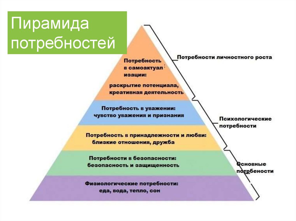 Потребности и их роль