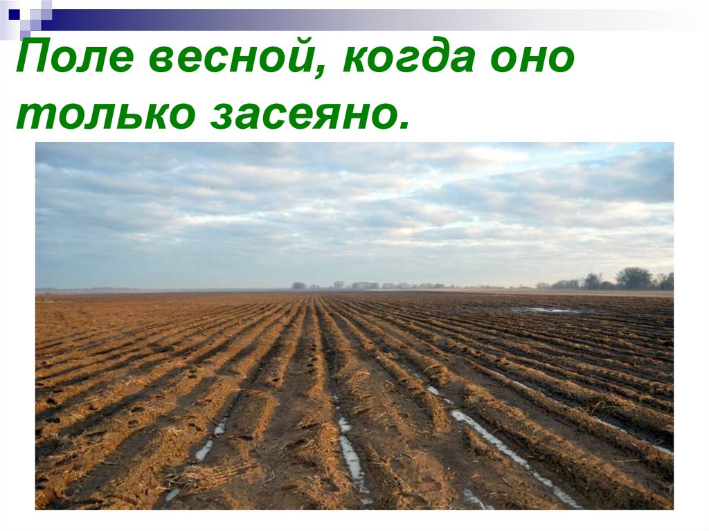 Поле весной, когда оно только засеяно.