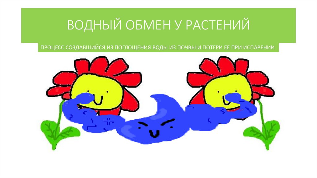 ВОДНЫЙ ОБМЕН У РАСТЕНИЙ