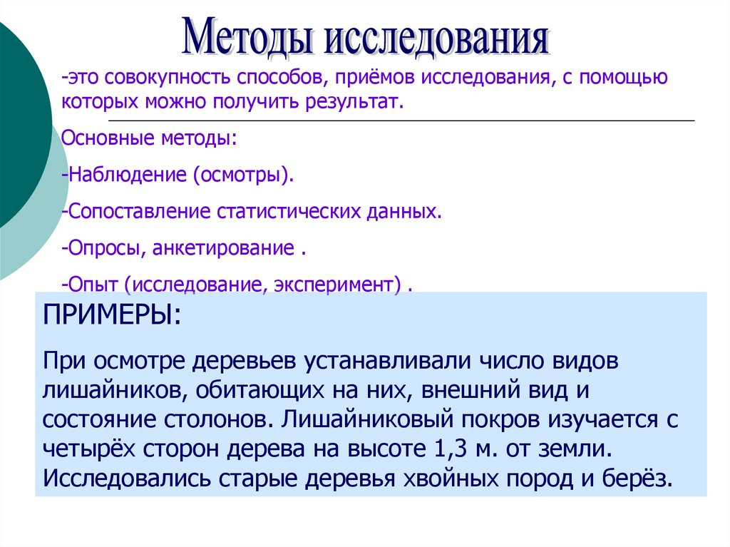 Исследовательская работа презентация пример