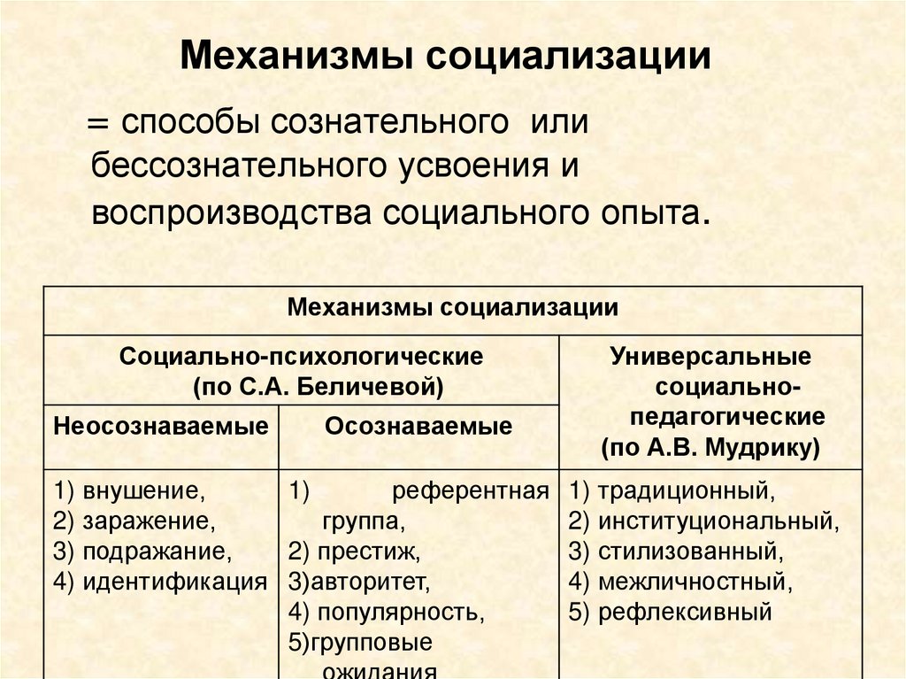 Механизмы социализации презентация