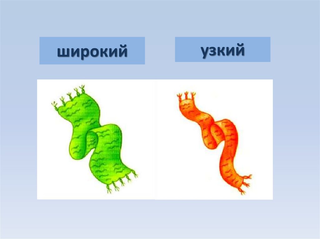 Широкий узкий картинки. Широкий узкий. Противоположности широкий узкий. Противоположности для детей широкий узкий. Аппликация широкий узкий.