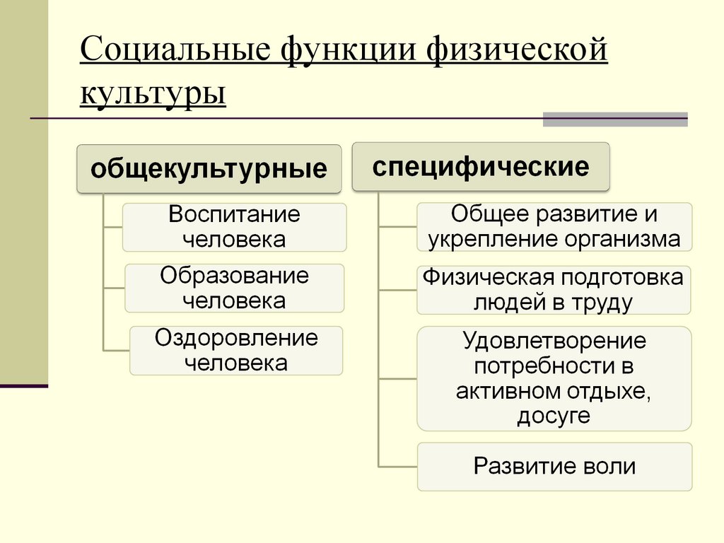 К специфическим функциям физической культуры относятся