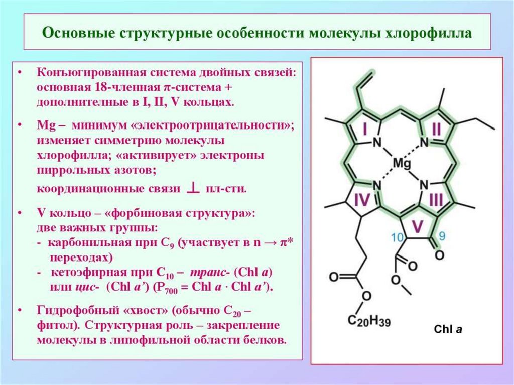 Какую роль играют электроны молекул хлорофилла. Химизм хемосинтеза. Уравнения реакций фотосинтеза и хемосинтеза. Интересные факты о хемосинтезе. Продукты реакции фотосинтеза и хемосинтеза.