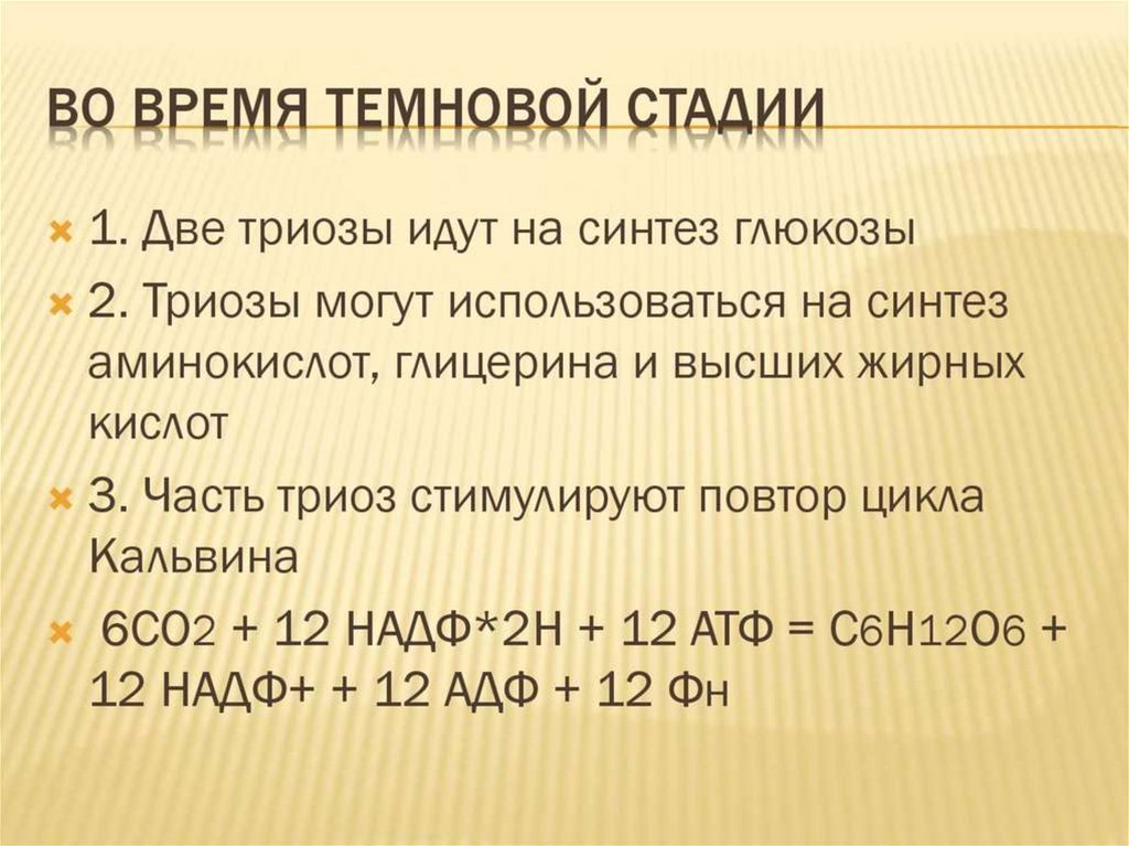 Хемосинтез происходит. Исходные вещества хемосинтеза. Исходный продукт хемосинтеза. Хемосинтез Синтез Глюкозы. Продукты реакции хемосинтеза.