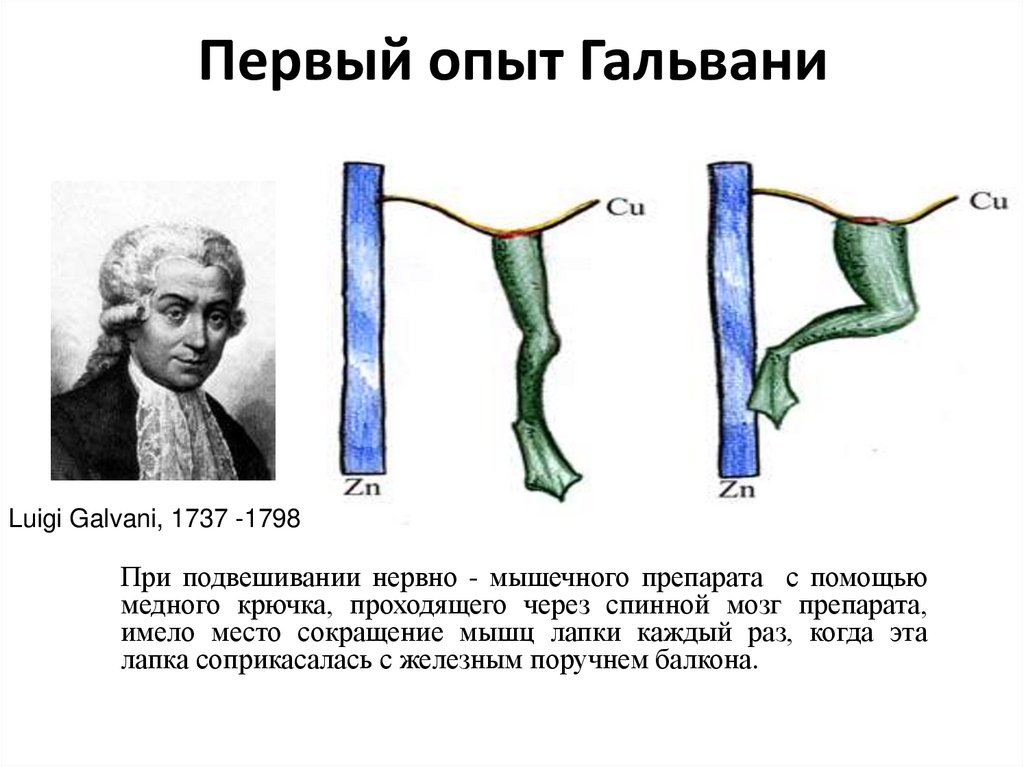 История открытия электричества франклин гальвани вольта и др презентация