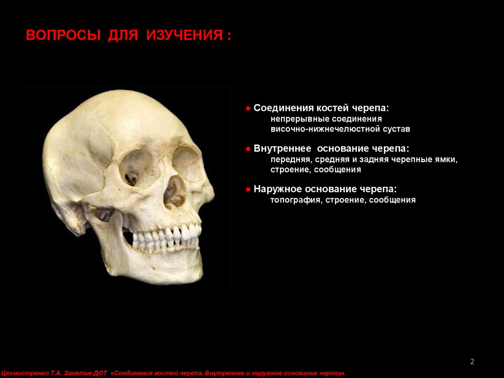 Череп соединить. Кости осевого скелета черепа. Нижнечелюстная кость с другими костями черепа соединена. Функции мозгового отдела черепа. Операция передный череп.