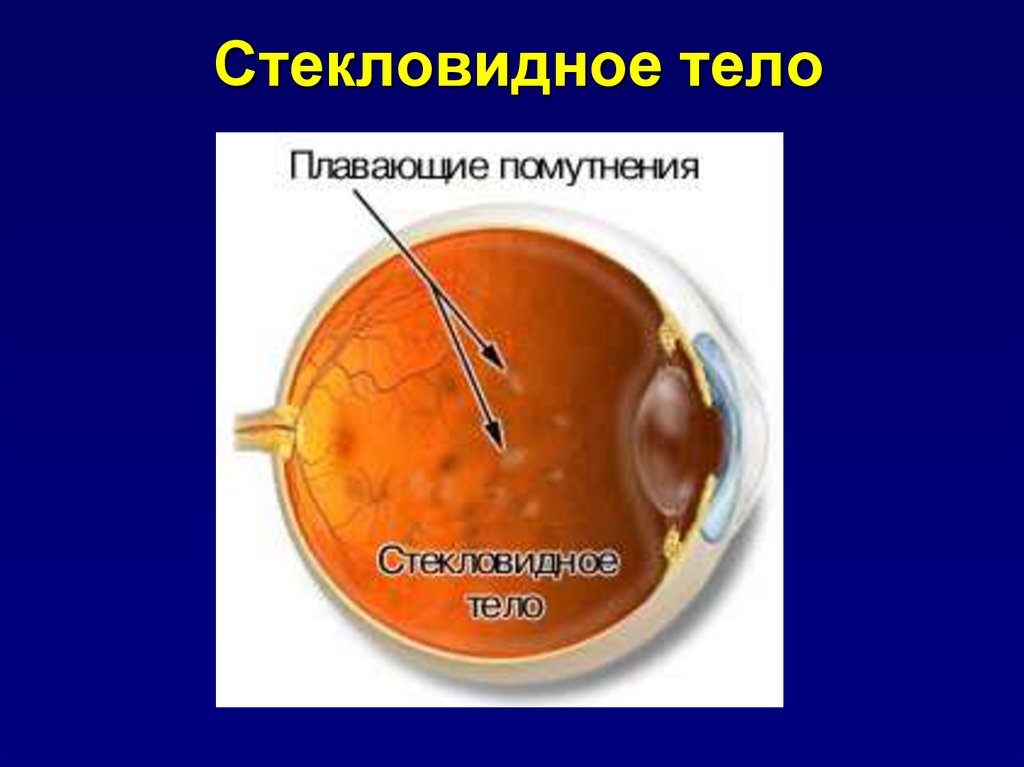 Методы исследования органа зрения презентация