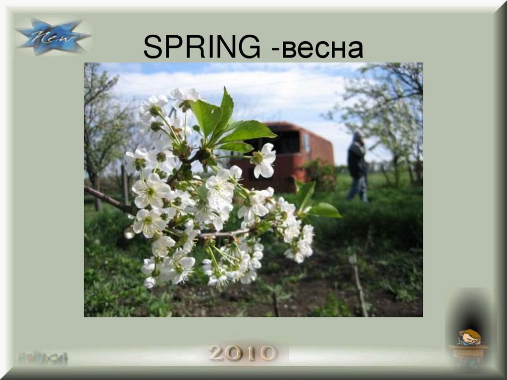 SPRING -весна