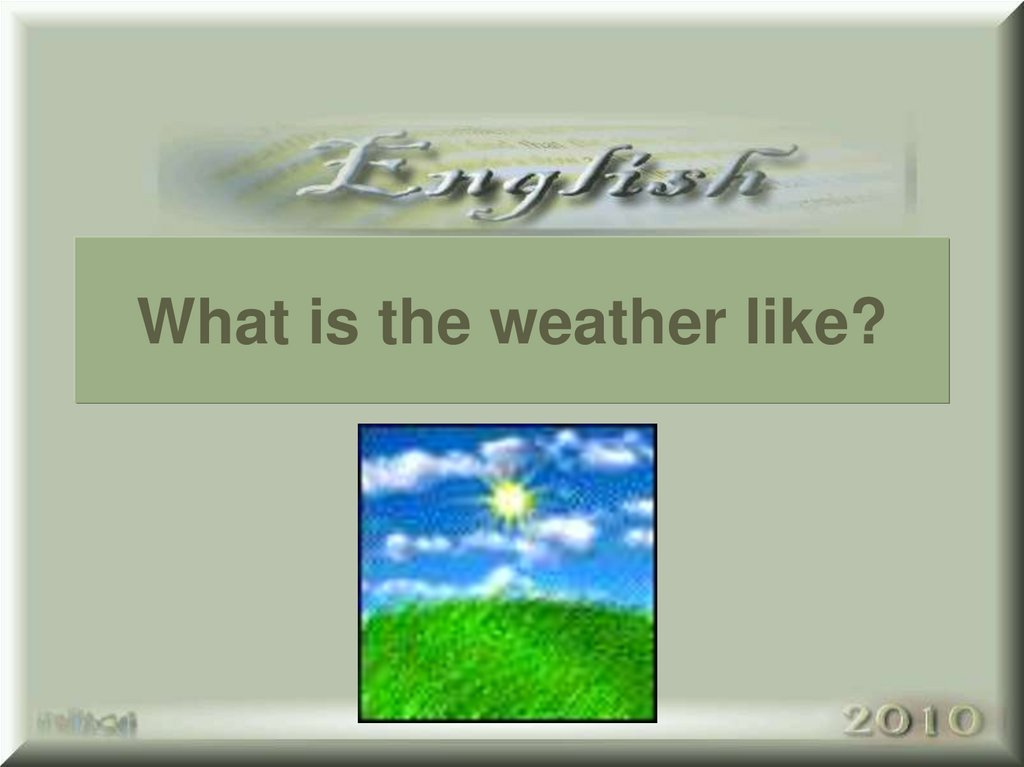 What is the weather like?