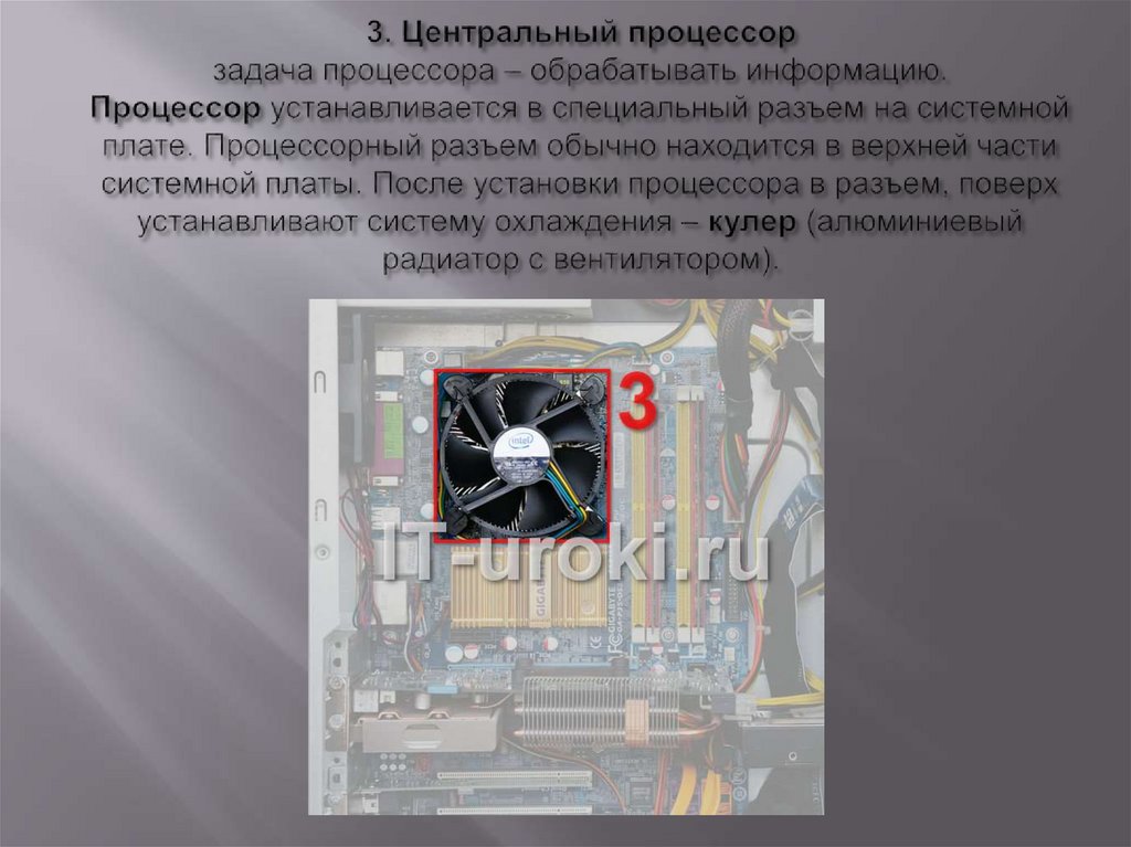 3. Центральный процессор задача процессора – обрабатывать информацию. Процессор устанавливается в специальный разъем на