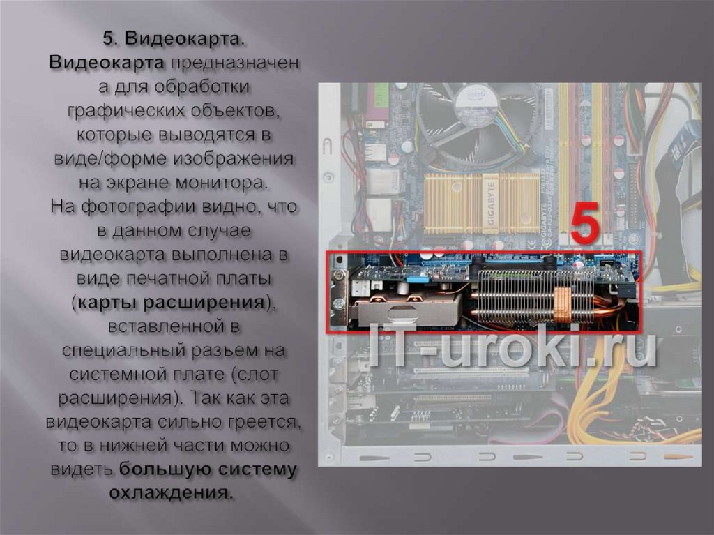 5. Видеокарта. Видеокарта предназначена для обработки графических объектов, которые выводятся в виде/форме изображения на