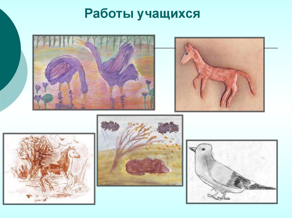 Работы учащихся