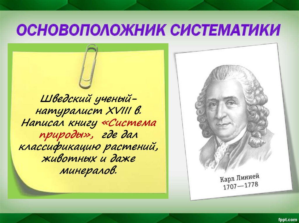 Основоположник систематики