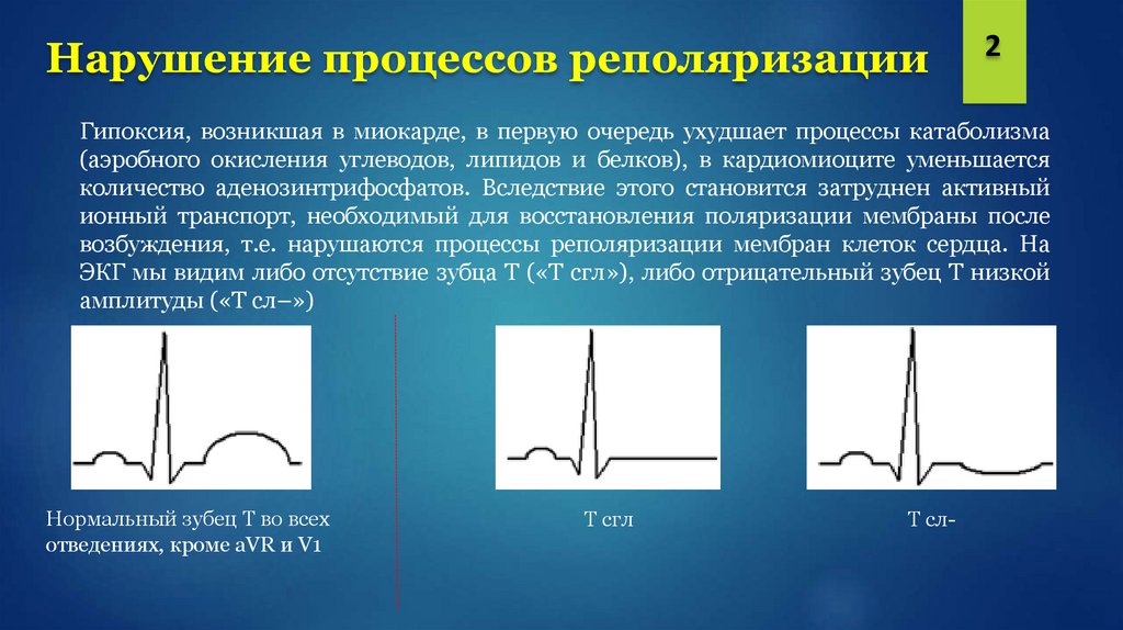  Mailru              