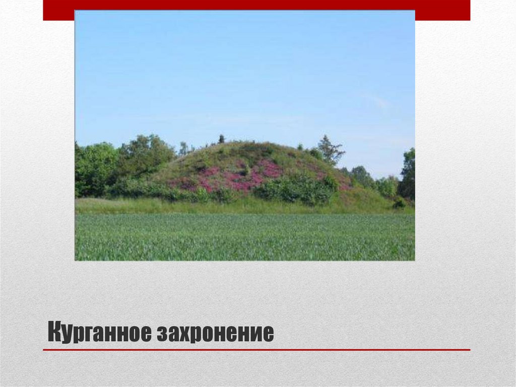 Курганное захронение