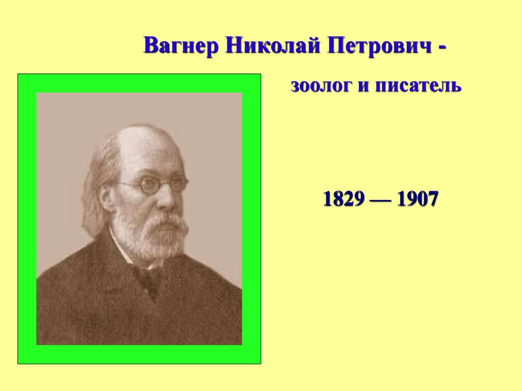 Николай Петрович Вагнер (1829-1907) - презентация онлайн