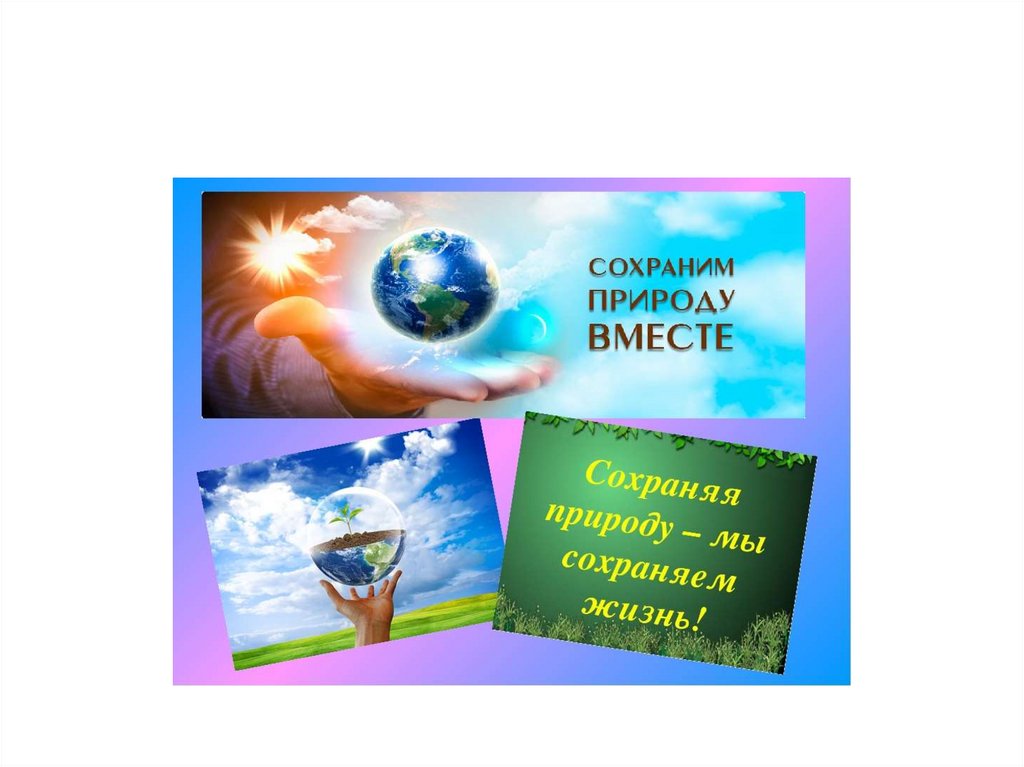 Норильск сбережем природу. Сохраним природу 1993 коробка. Марка Почтовая сохраним природу и мир. Сохраним природу 1993 набор золото.