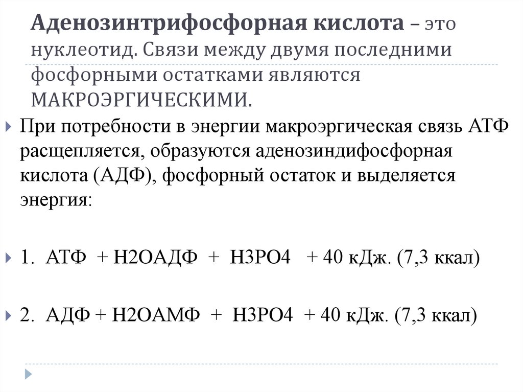 Сколько энергии в макроэргических связях атф