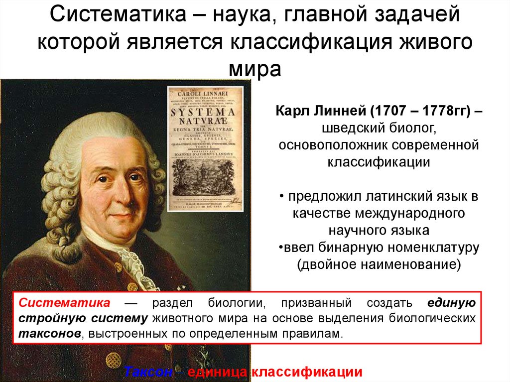 Науки систематики. Систематика это наука. Систематика это наука о классификации. Задачи науки систематики. Наука о классификации живых организмов.