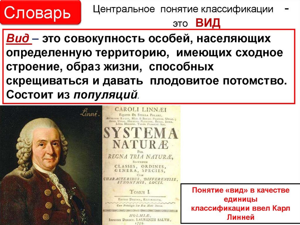 Становление систематики как науки связывают с именем