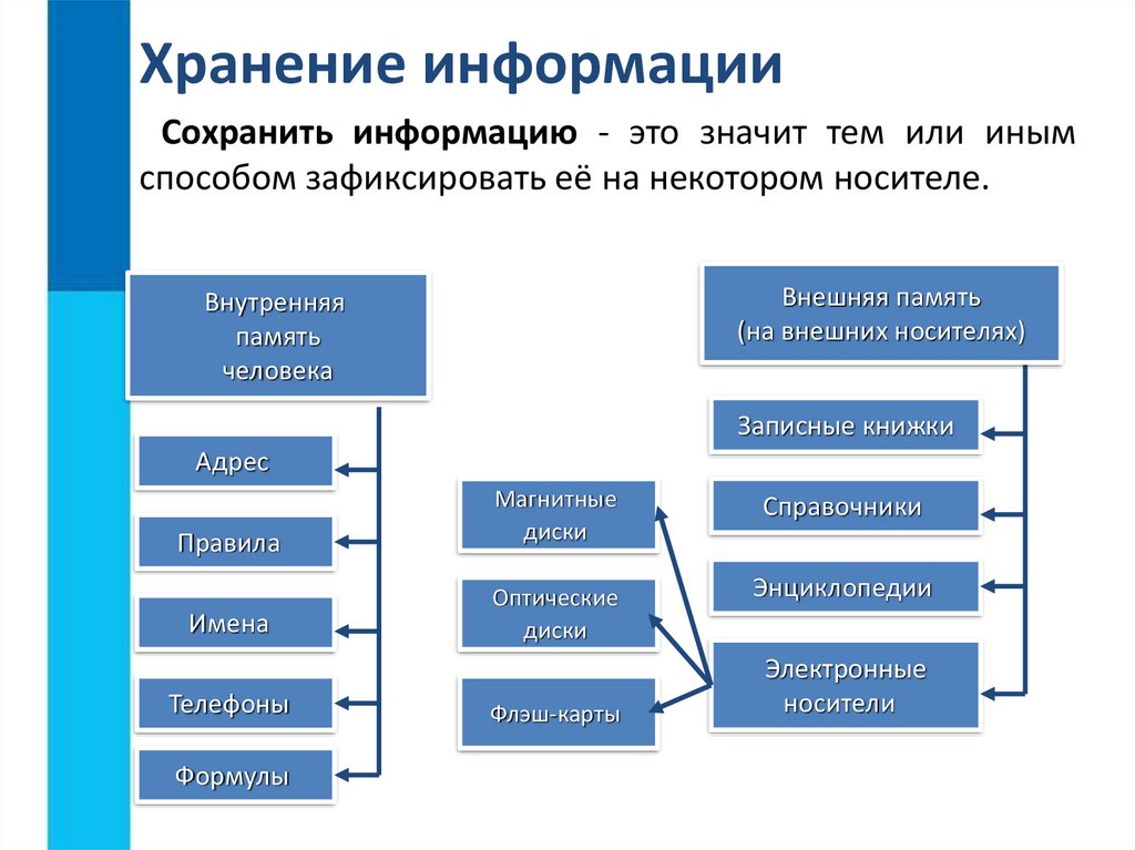 Распредели по видам информационных процессов этапы работы над презентацией