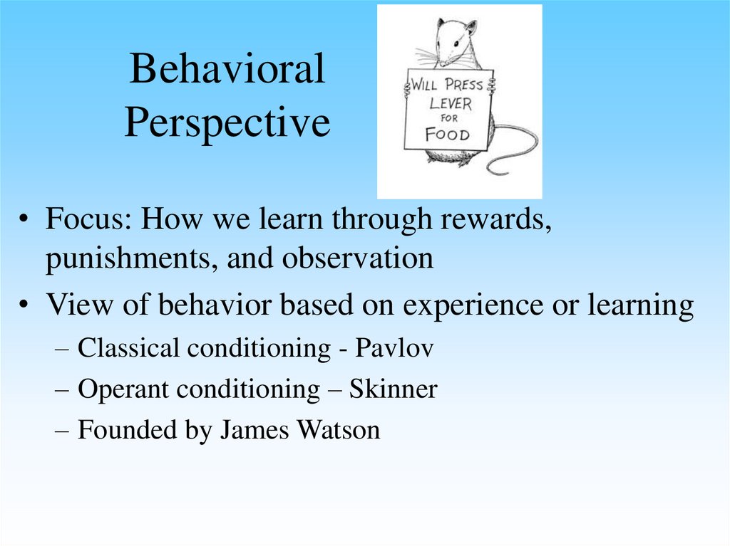 Behavioral Perspective