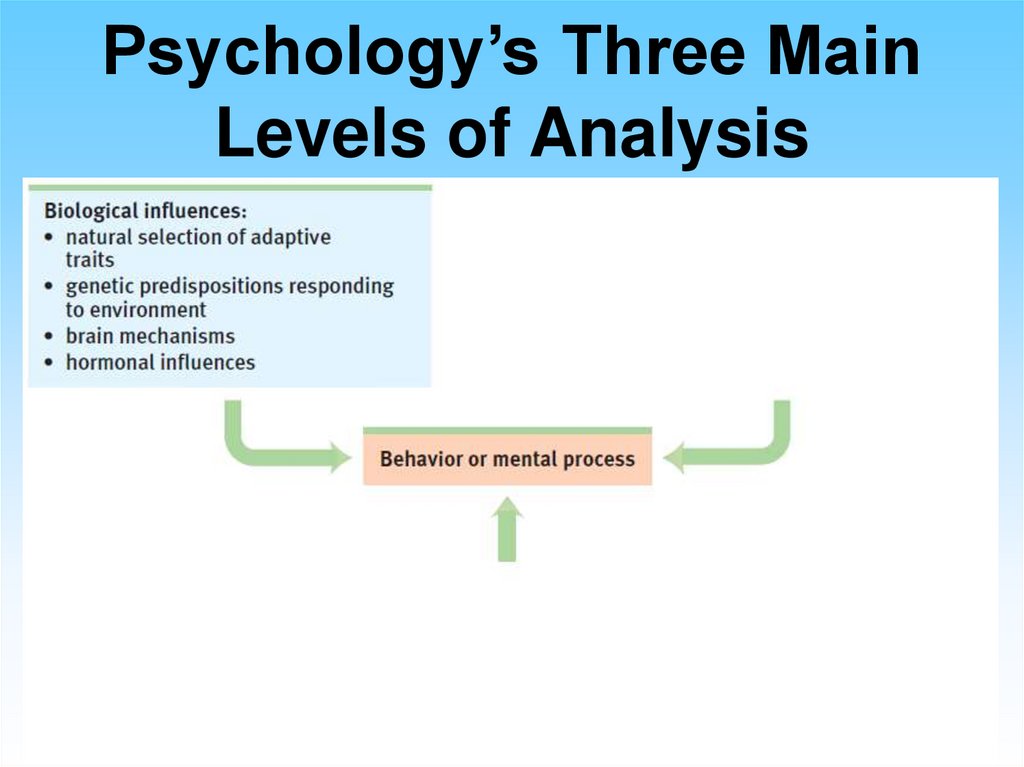 Psychology’s Three Main Levels of Analysis